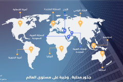 Data Centers / Profile 2024  (Arabic)  - 10
