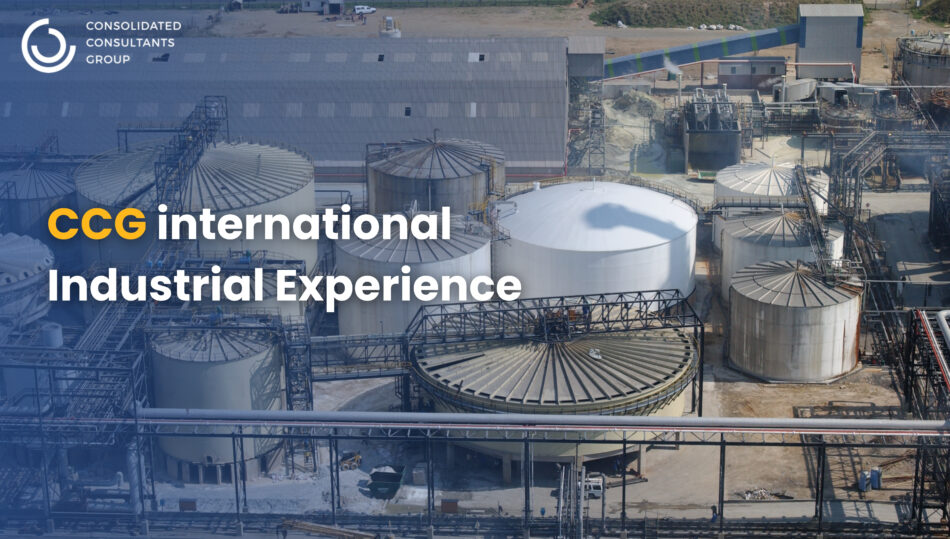 (English) Industrial Experience