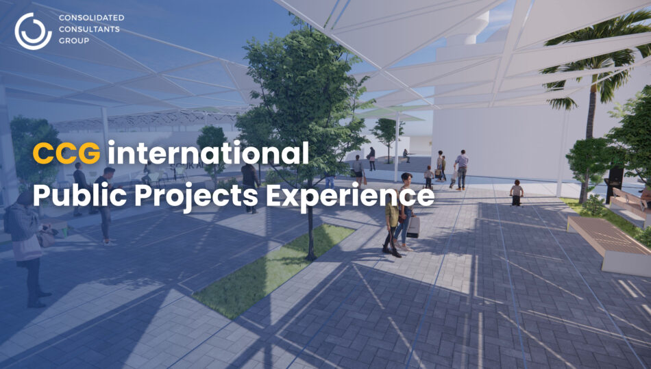 (English) Public Projects Experience